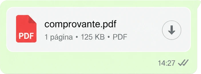 Comprovante sendo analisado pela IA